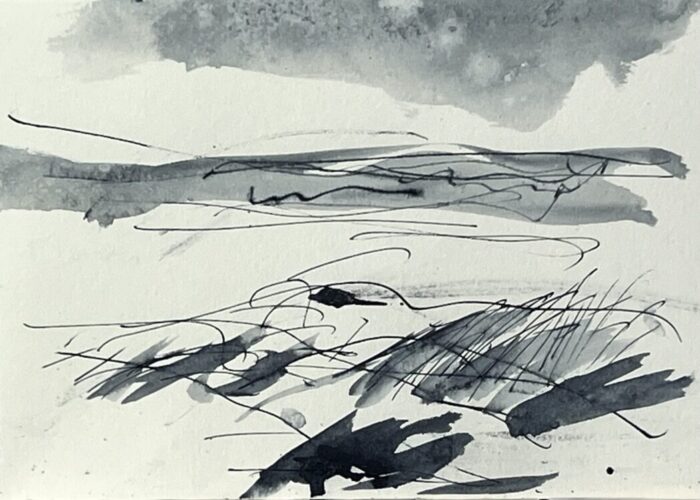 A stormy day at the beach