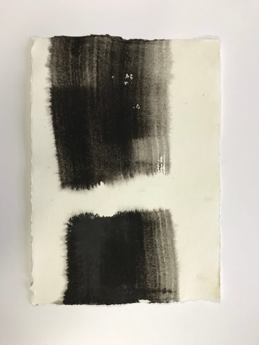 Vegetal, 2017, ink on paper