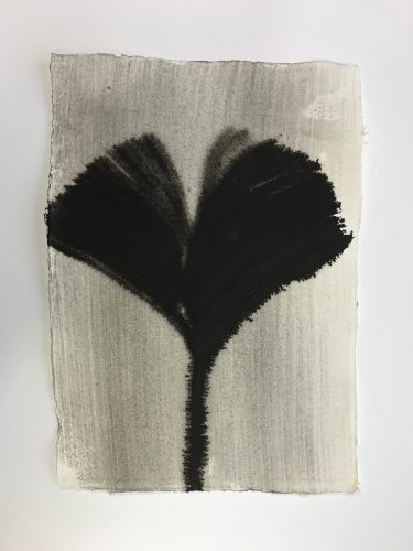 Ginkgo, 2017, ink on paper