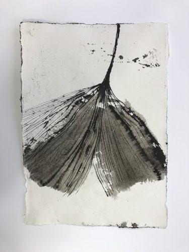 Ginkgo, 2017, ink on paper